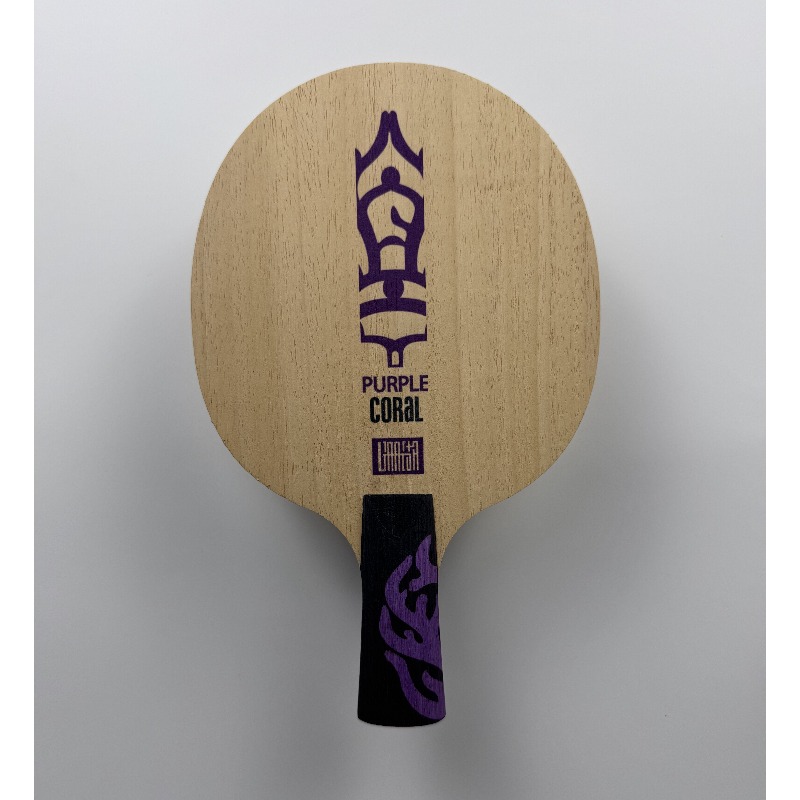Raquette de tennis de table Me - Table Tennis Paddle avis et prix