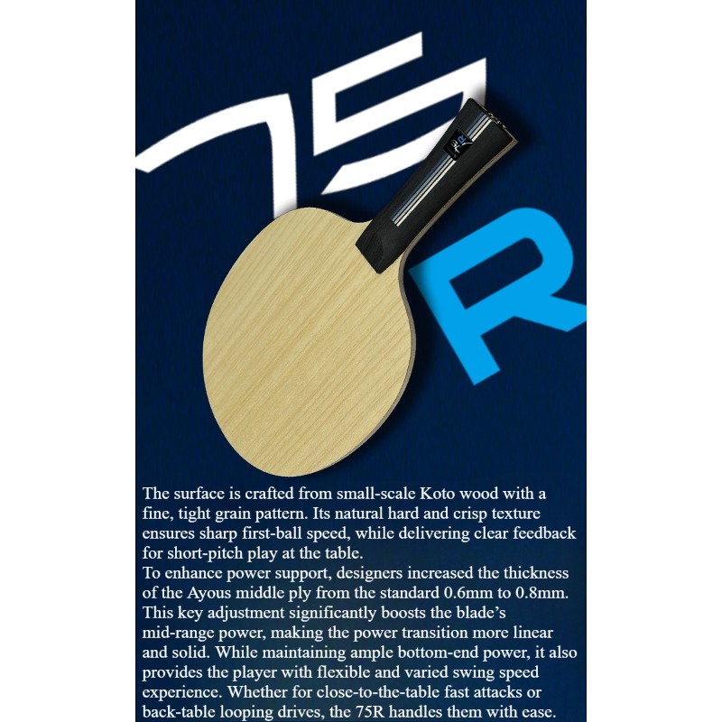 SANWEI 75R 5+2 Outer H-GLC Tab - Table Tennis Paddle avis et prix